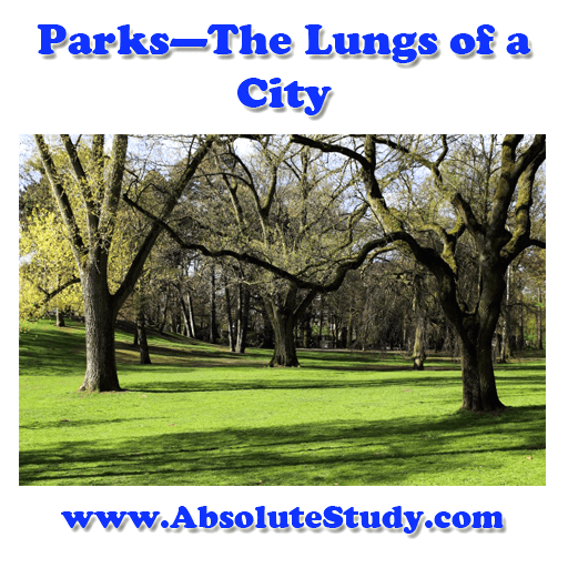 Parks-The-Lungs-of-a-City