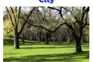 Parks-The-Lungs-of-a-City